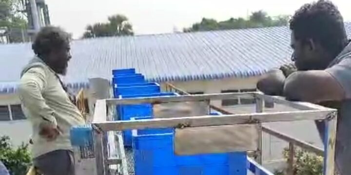 Modular Belt Conveyor Manufacturers for Food Industry